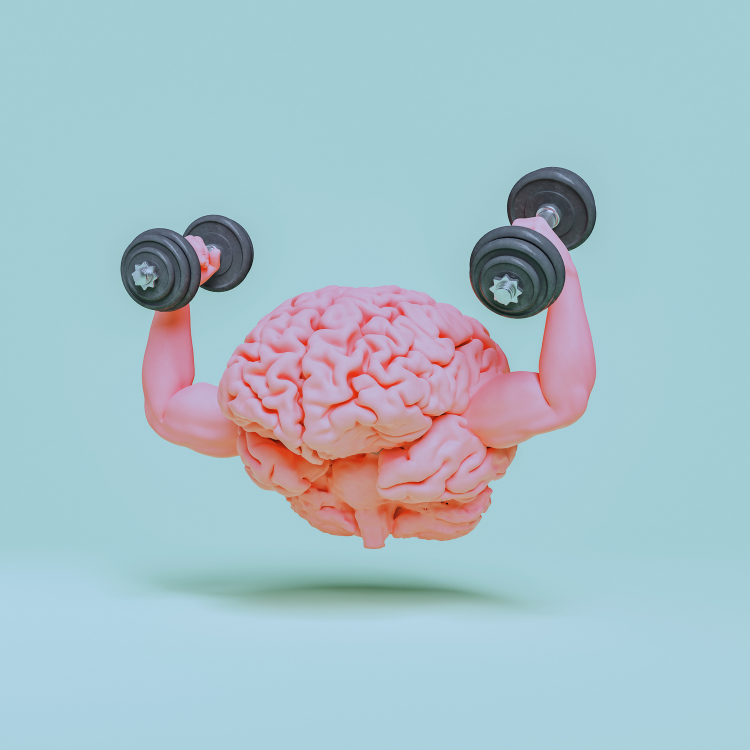 MIND FITNESS LIGHT